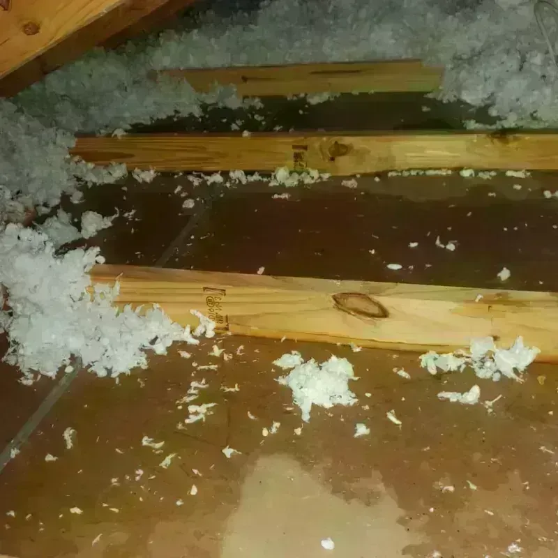 Attic Water Damage in Accomac, VA